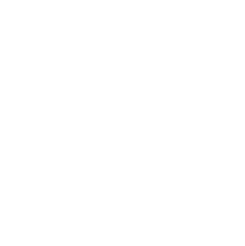 LidaGallery